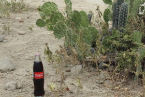 Lee más sobre el artículo La última Coca Cola del Desierto