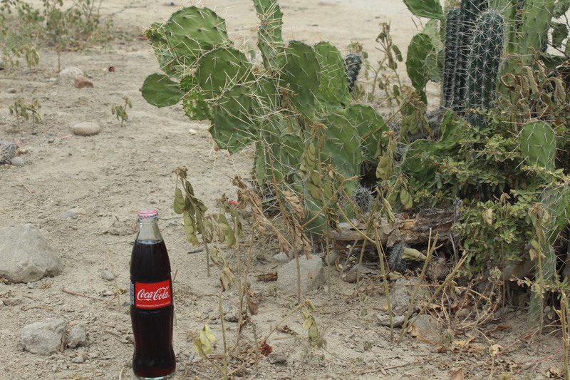 Lee más sobre el artículo La última Coca Cola del Desierto